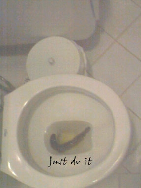 untitled.jpg